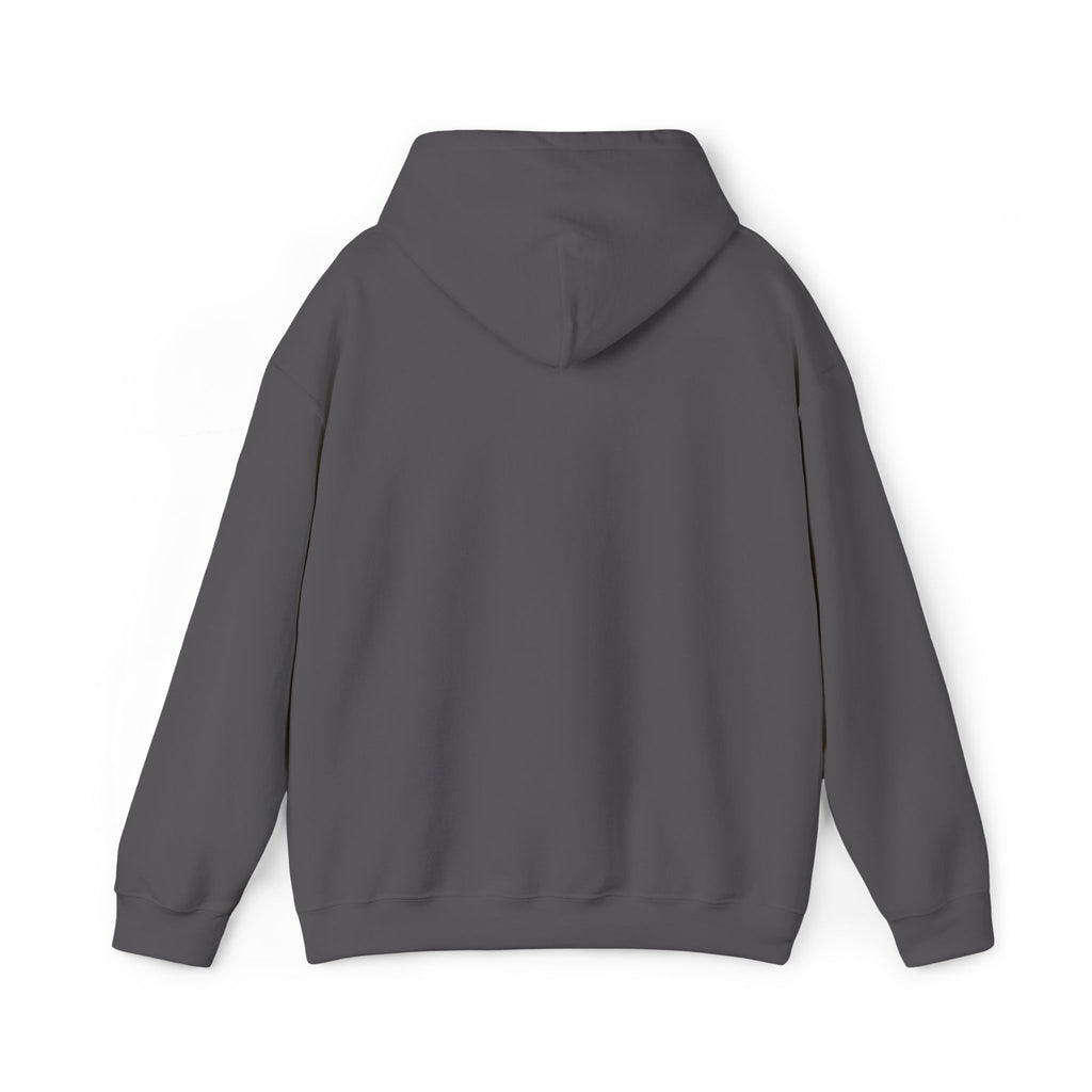 Villain Era Tour Hoodie